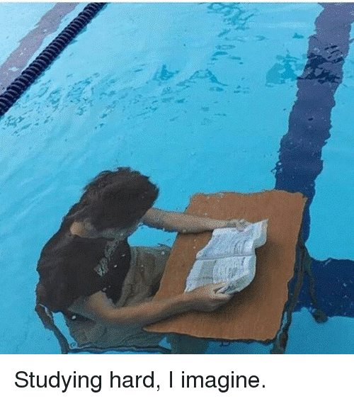 Between Books and the Pool