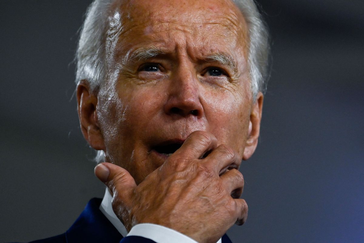 Purple Politics: Should We Settle for Biden?