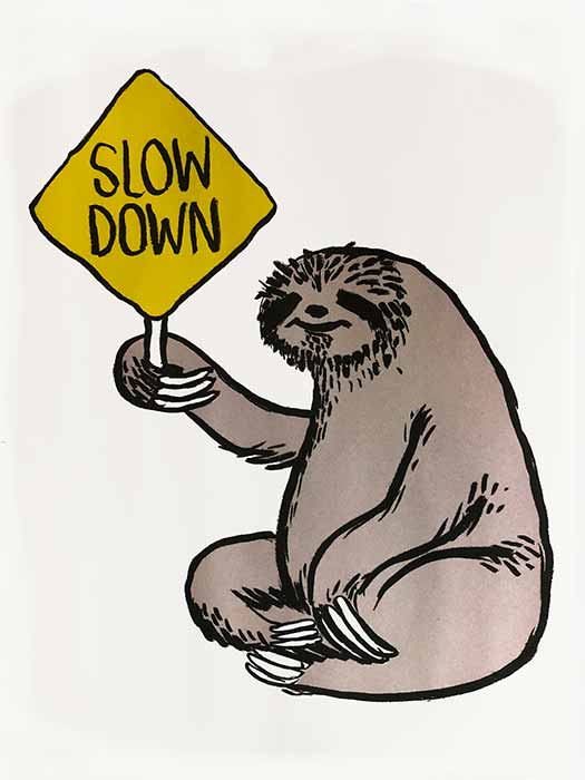 Slow Down, Kid