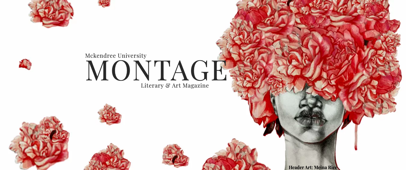 Montage Wants Your Work