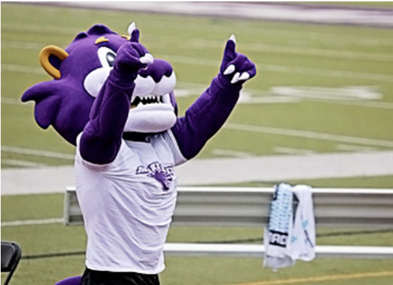 <strong>Set Yourself Up for Success: How Student-Athletes at McKendree Prepare for Competition</strong>