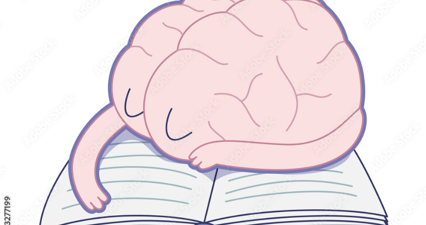 From ZZZ’S To A’s: A Deep Dive Into Sleep-Induced Learning