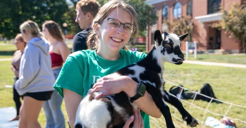 Letter from the Head Producer